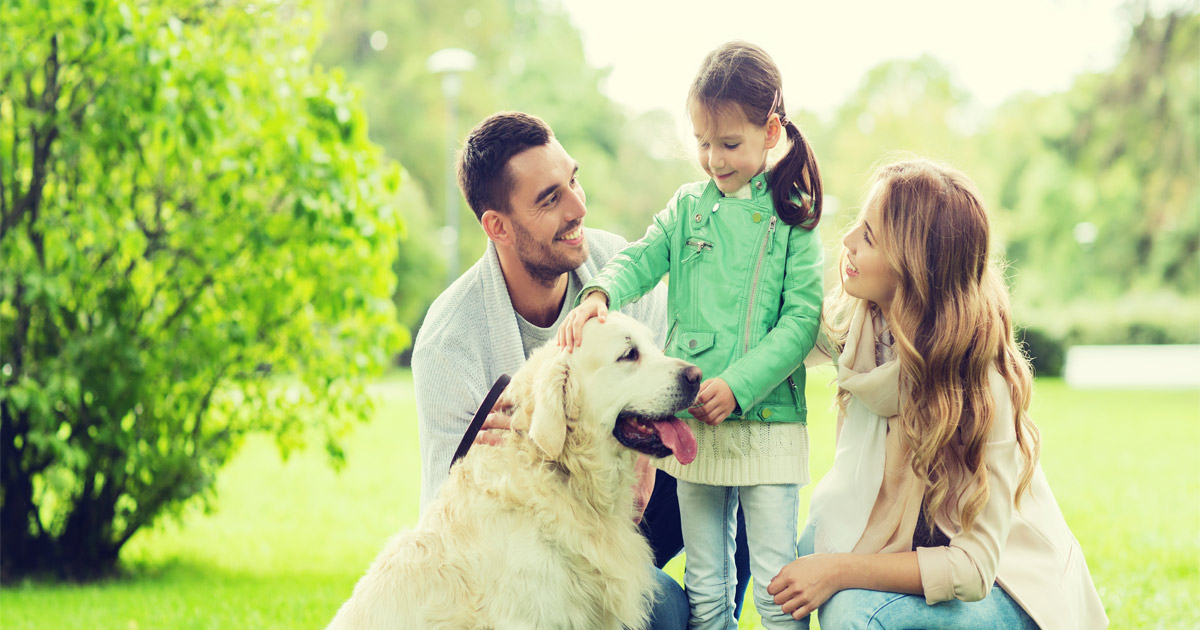The Dedicated Marlton Divorce Lawyers at Burnham Douglass Provide Legal Support for Co-Parenting Challenges